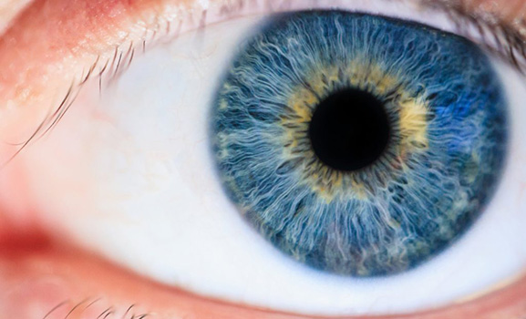 pexels-photo-1486641-1024x683-2